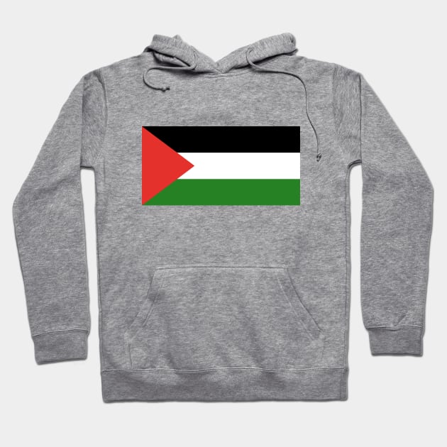 Flag of Palestine Hoodie by terrybain